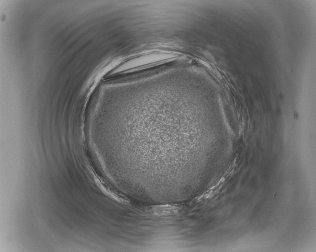 X0000078860050200611271422