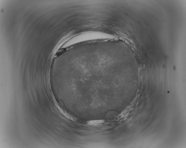 X0000078860051200611271422