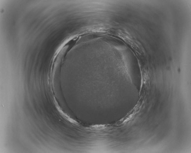 X0000078860052200611271422