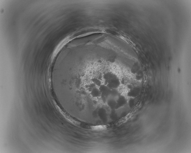 X0000078860053200611271422