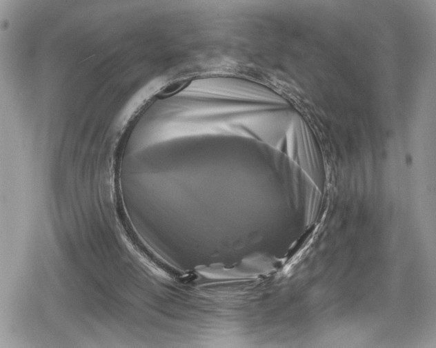 X0000078860054200611271422