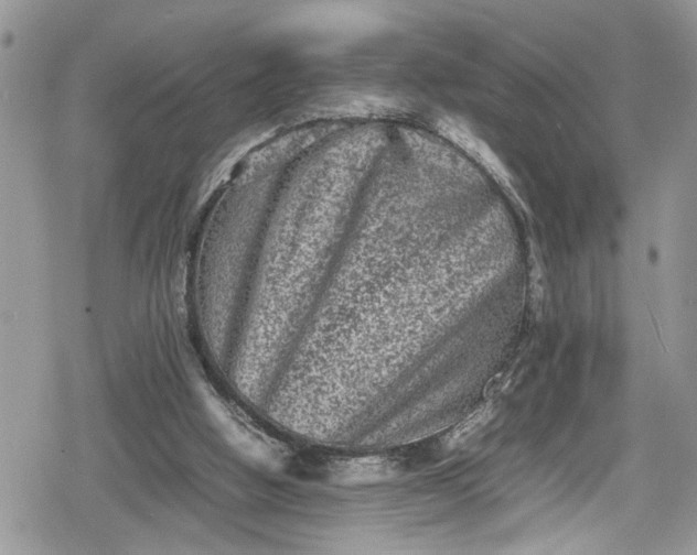 X0000078860058200611271422