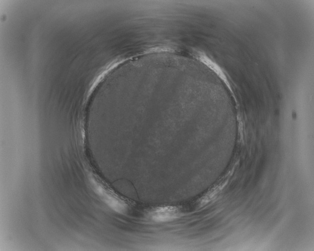 X0000078860059200611271422