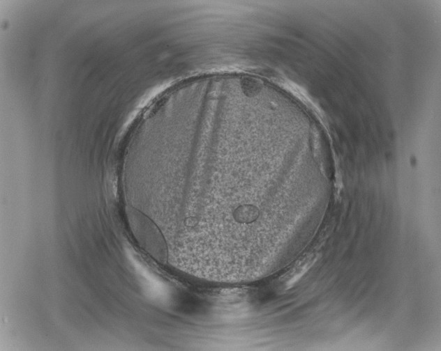 X0000078860060200611271422