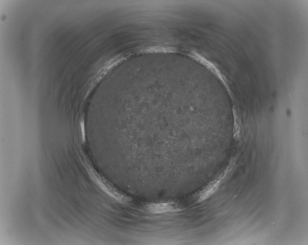 X0000078860061200611271422