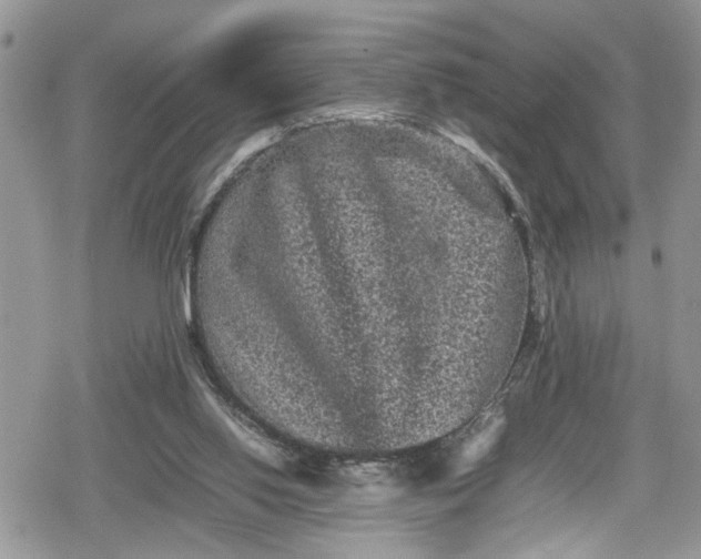 X0000078860062200611271422