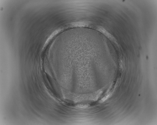 X0000078860064200611271422