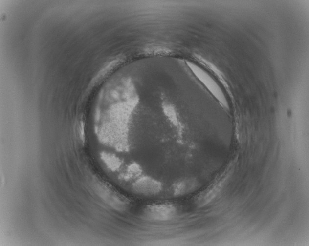 X0000078860067200611271422