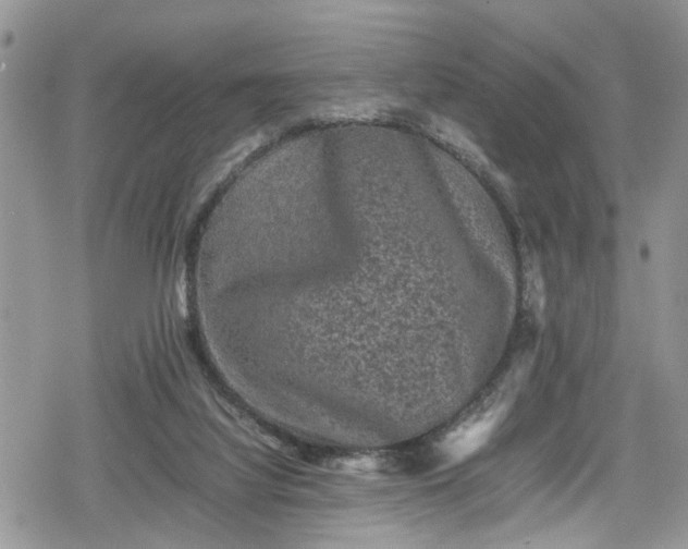 X0000078860068200611271422