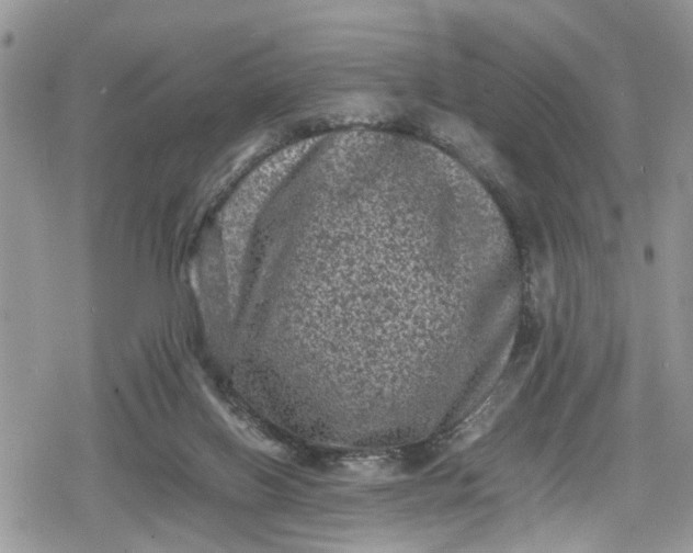 X0000078860070200611271422