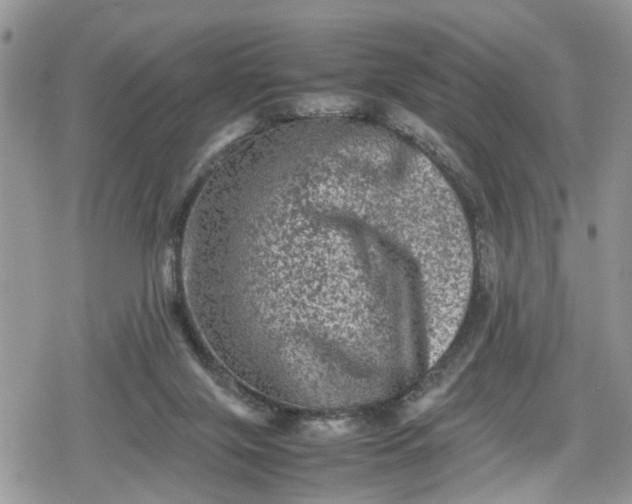 X0000078860071200611271422