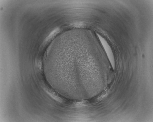 X0000078860072200611271422