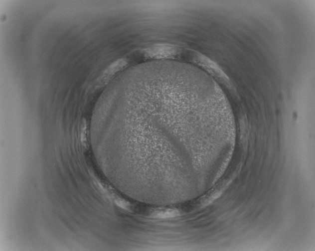 X0000078860073200611271422