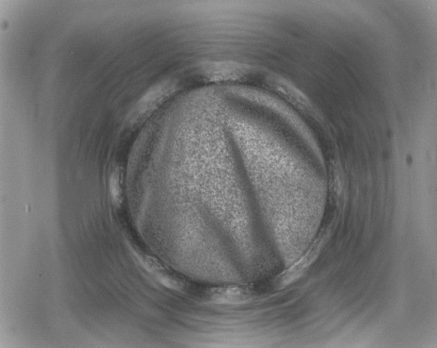 X0000078860074200611271422