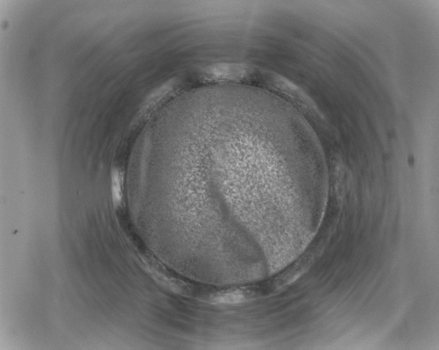 X0000078860075200611271422