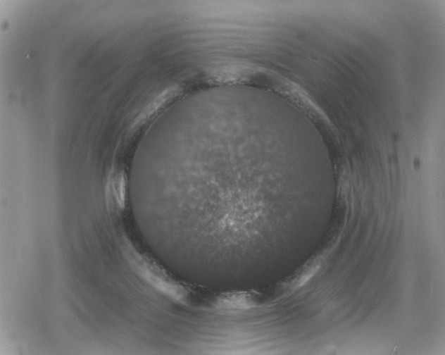 X0000078860076200611271422