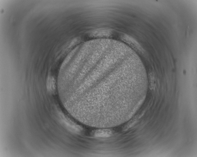 X0000078860077200611271422