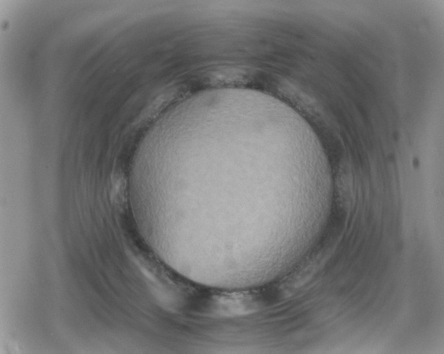 X0000078860079200611271422