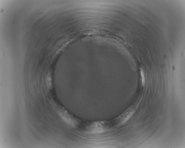 X0000078860080200611271422