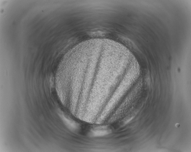 X0000078860081200611271422