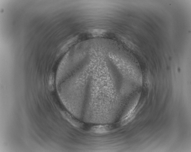 X0000078860082200611271422