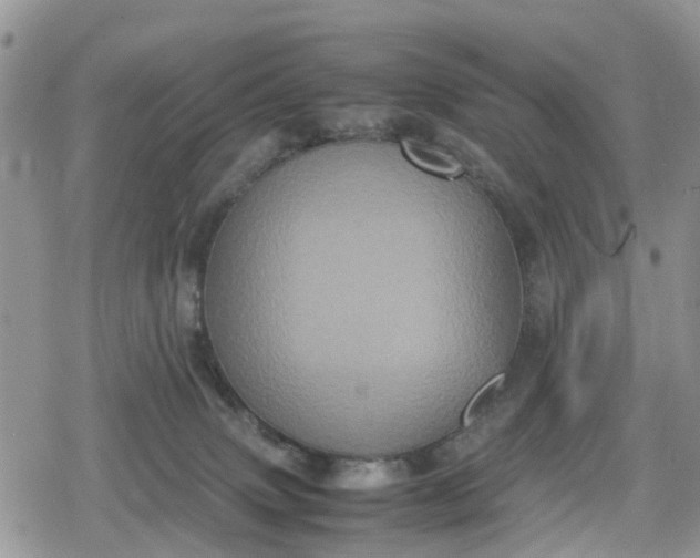 X0000078860083200611271422