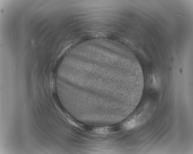 X0000078860084200611271422