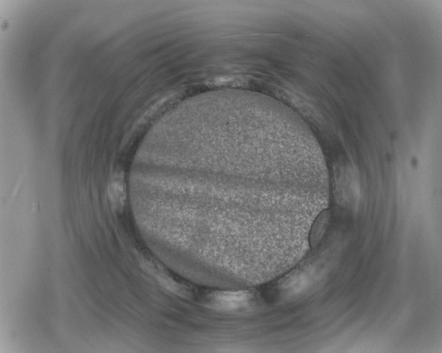 X0000078860085200611271422