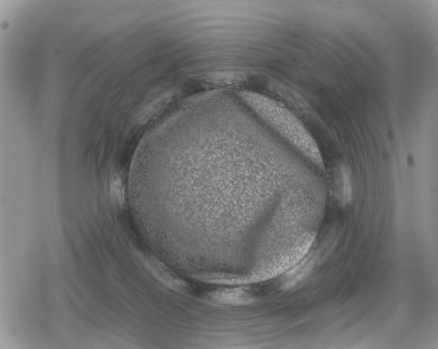 X0000078860086200611271422