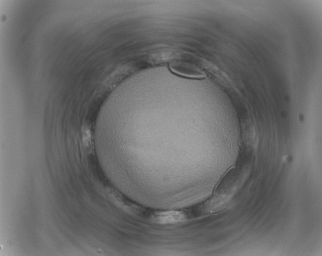 X0000078860087200611271422