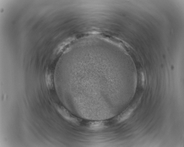 X0000078860088200611271422