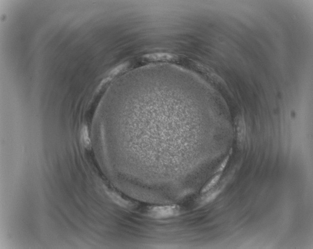 X0000078860089200611271422