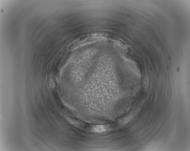 X0000078860091200611271422