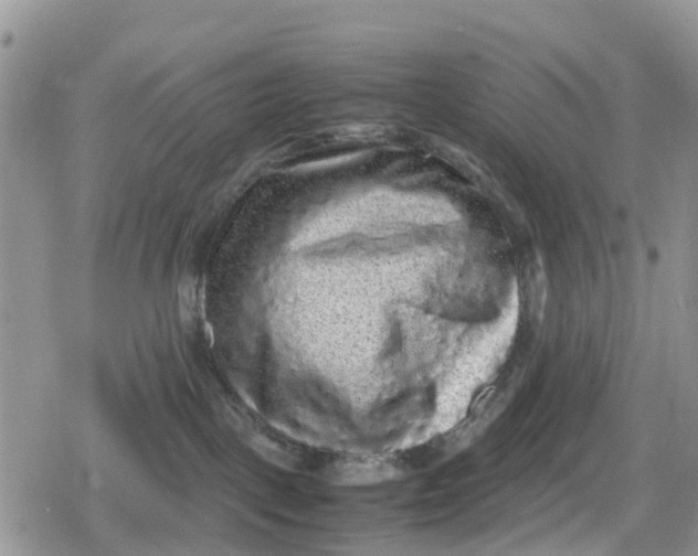 X0000078860093200611271422