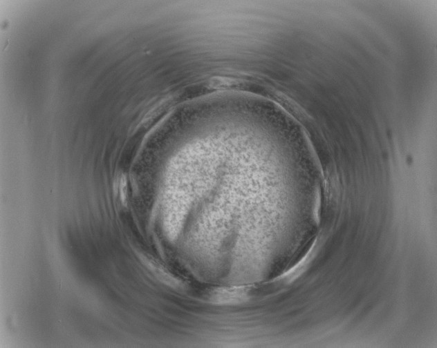 X0000078860094200611271422