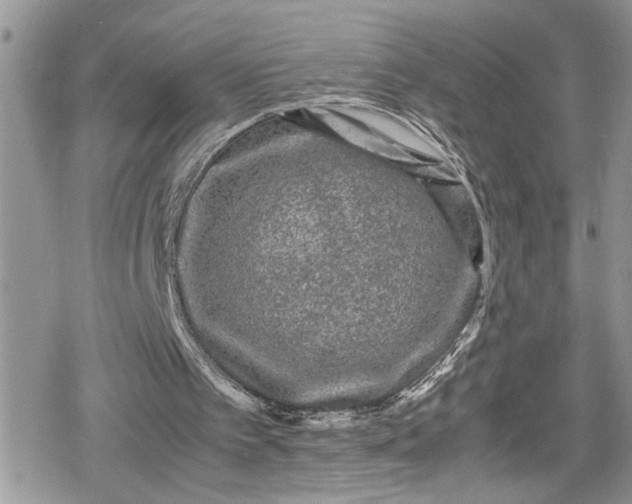 X0000078860097200611271422