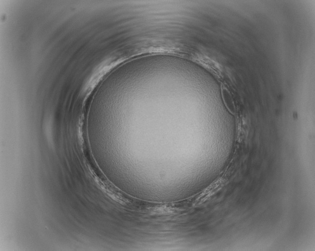 X0000078860098200611271422