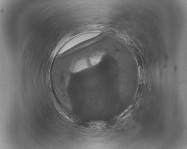 X0000078860099200611271422