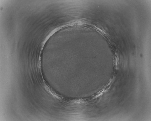 X0000078860100200611271422