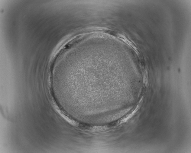 X0000078860101200611271422