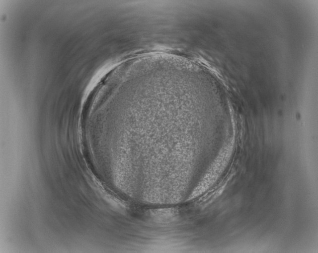 X0000078860102200611271422