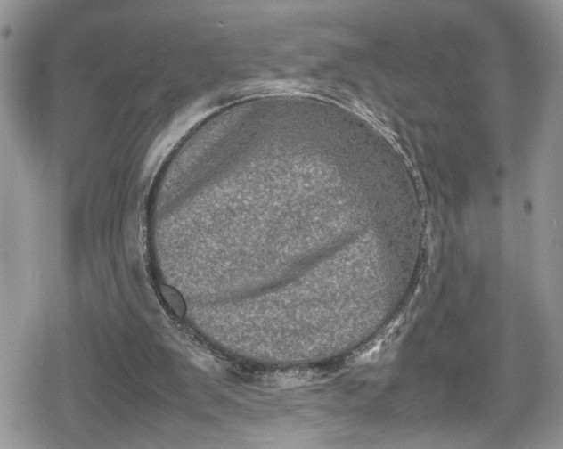 X0000078860103200611271422