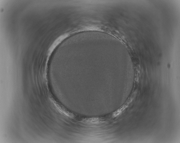 X0000078860104200611271422