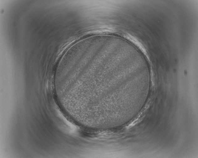 X0000078860105200611271422