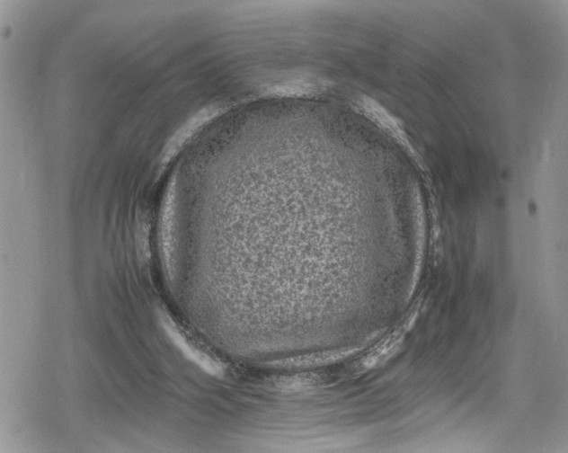 X0000078860106200611271422