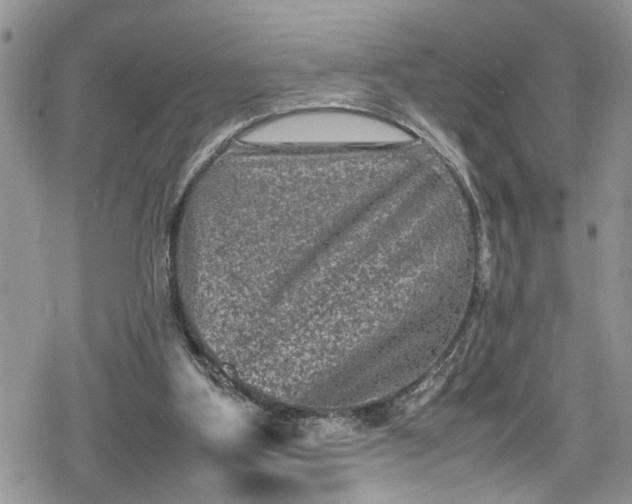 X0000078860107200611271422