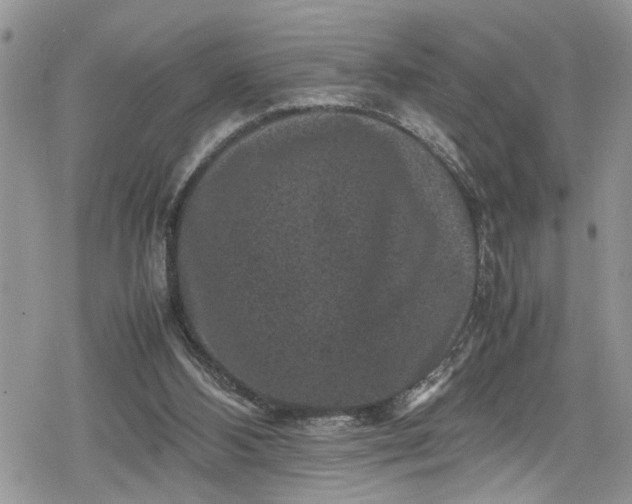 X0000078860108200611271422