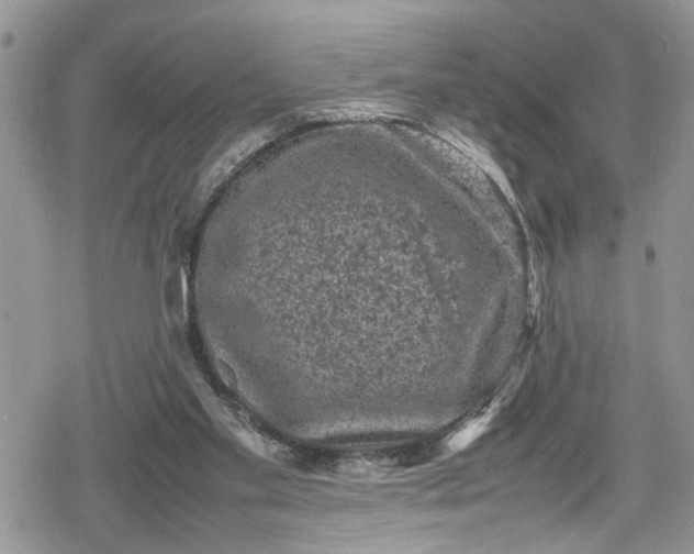 X0000078860109200611271422