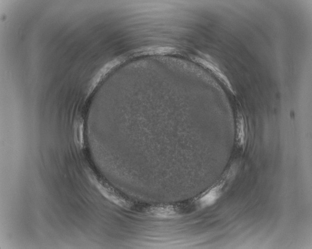 X0000078860110200611271422