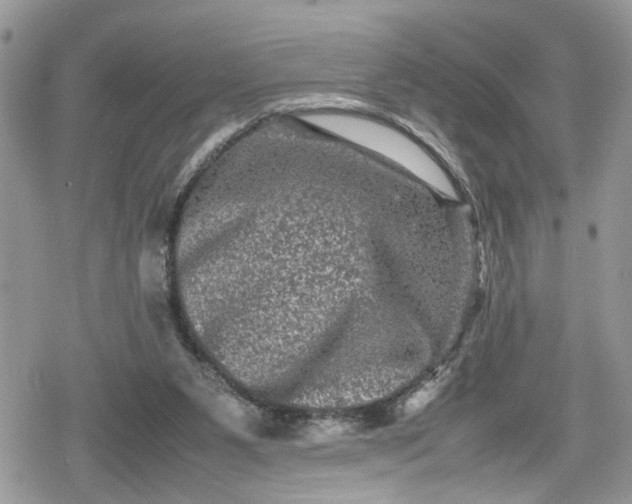 X0000078860111200611271421